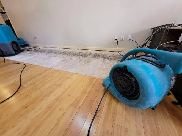 Professional Burst Pipe Water Damage technician working in Eland, WI